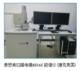 文本框: 泰思肯扫描电镜&EDAX能谱仪(捷克美国)